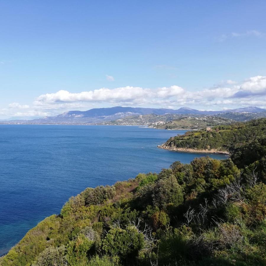 Panoramic Apartments In Villa In Center "The Beach And The Cliff" 1 Agropoli Kültér fotó